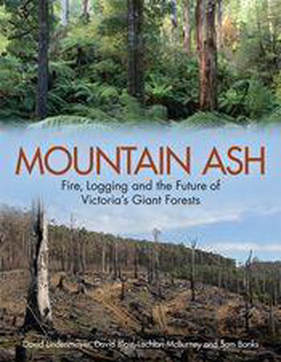 Mountain Ash - cover
