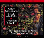 Gregorian Chants / Canto Gr
