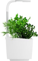 Binnentuin met LED-verlichting TREGREN T3 Kitchen Garden White - tot 3 planten