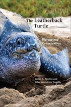 The Leatherback Turtle
