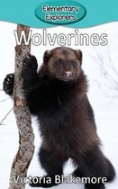 Elementary Explorers- Wolverines