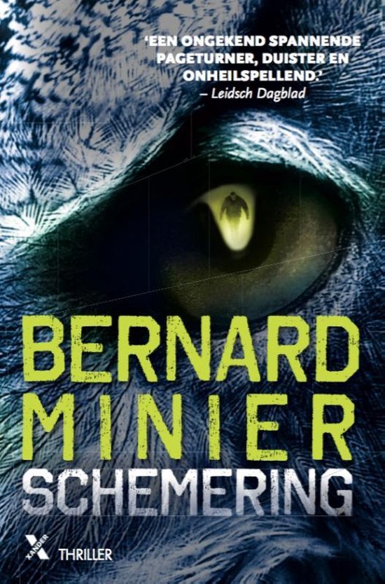 bernard-minier-schemering