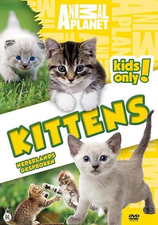 Cover van de film 'Animal Planet Kids - Jonge Katjes'