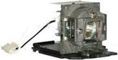 GO Lamps GL1040 projectielamp 220 W DLP