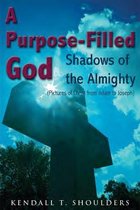 A Purpose-Filled God: Shadows of the Almighty