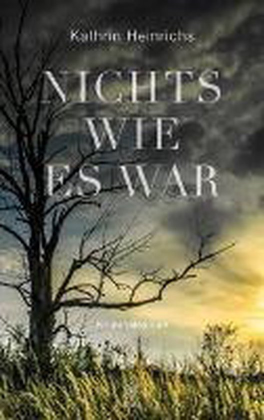 Nichts wie es war - cover