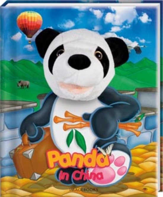 Cover van het boek 'Panda in China / handpop'