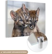 MuchoWow® Glasschilderij - Twee Puma welpen knuffelen met elkaar - 40x30 cm - Acrylglas Schilderijen - Foto op Glas