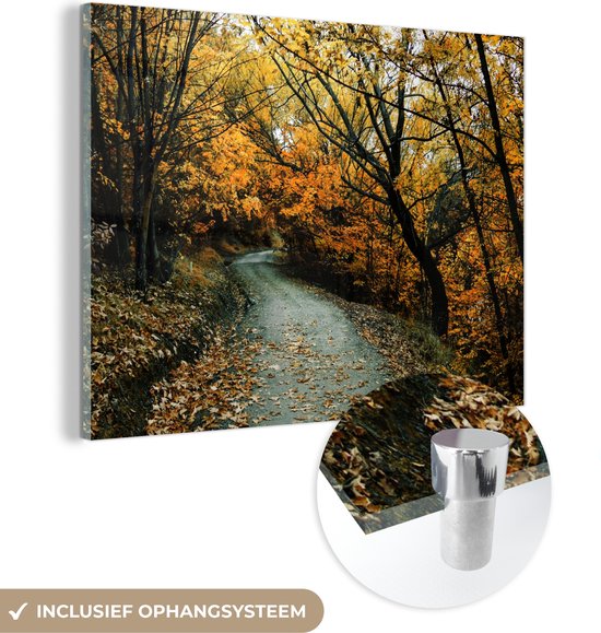 MuchoWow® Peinture sur verre 160x120 cm - Peinture sur verre acrylique - Feuilles - Automne - Forêt - Photo sur verre - Peintures