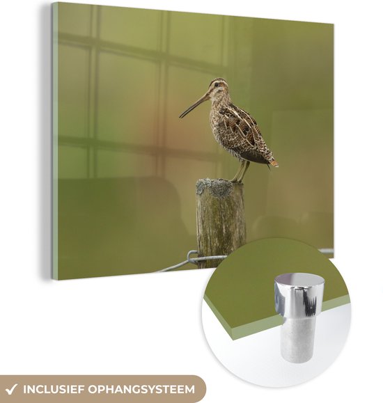 MuchoWow® Glasschilderij 80x60 cm - Schilderij acrylglas - Een watersnip op de paal van een hek - Foto op glas - Schilderijen