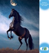 F4B Paard met Maan Diamond Painting 30x40cm | Vierkante Steentjes | Dieren | Paarden | Veulen | Natuur | Landschap | Diamond Painting Pakket Volwassenen | Kinderen | Volledig Dekkend