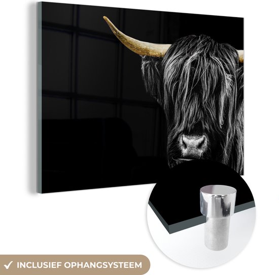 MuchoWow® Glasschilderij 120x80 cm - Schilderij acrylglas - Schotse hooglander - Goud - Vacht - Dieren - Koe - Foto op glas - Schilderijen