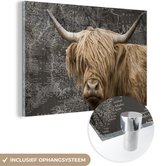 MuchoWow® Glasschilderij 150x100 cm - Schilderij acrylglas - Schotse hooglander - Wereldkaart - Dieren - Foto op glas - Schilderijen