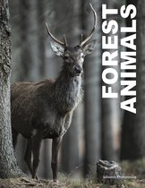 Animals- Forest Animals