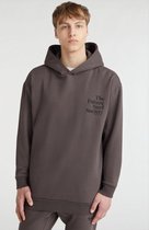 O'neill Truien FUTURE SURF SOCIETY HOODIE