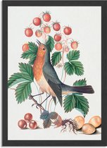 Poster Prent Natuur Vogel en Bloemen 11 Rechthoek Verticaal Met Lijst XL (50 X 70 CM) - Zwarte Lijst - Wanddecoratie - Posters