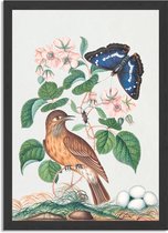 Poster Prent Natuur Vogel en Bloemen 01 Rechthoek Verticaal Met Lijst XL (50 X 70 CM) - Zwarte Lijst - Wanddecoratie - Posters
