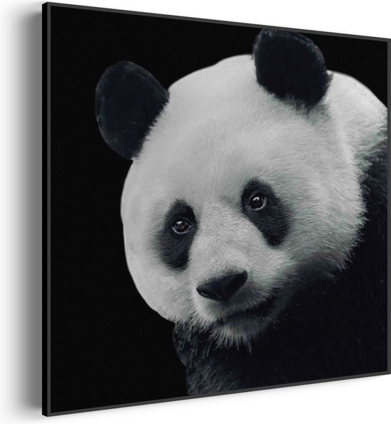 Akoestisch Schilderij Pandabeer Zwart Wit 02 Vierkant Basic XL (100X100) - Akoestisch paneel - Akoestische Panelen - Akoestische wanddecoratie - Akoestisch wandpaneel