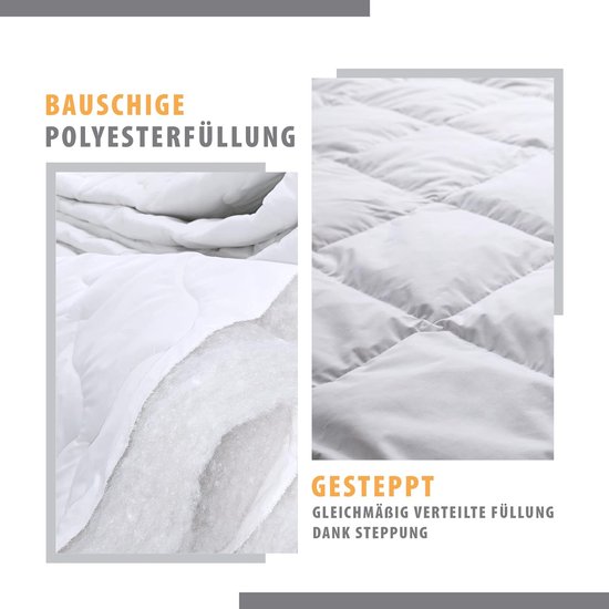 Qiwagu Bloemen Dekbed, 220 x 240 cm, 4 seizoenen, bladeren, omkeerbaar dekbed, wasbaar, dekbed zonder overtrek, bruikbaar, slaapdeken, licht, zacht, dekbed voor het hele jaar met 2 kussenslopen, E335
