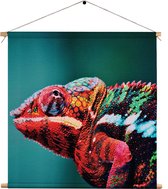 Textielposter Kameleon Kleurrijk Vierkant XXL (90 X 90 CM) - Wandkleed - Wanddoek - Wanddecoratie