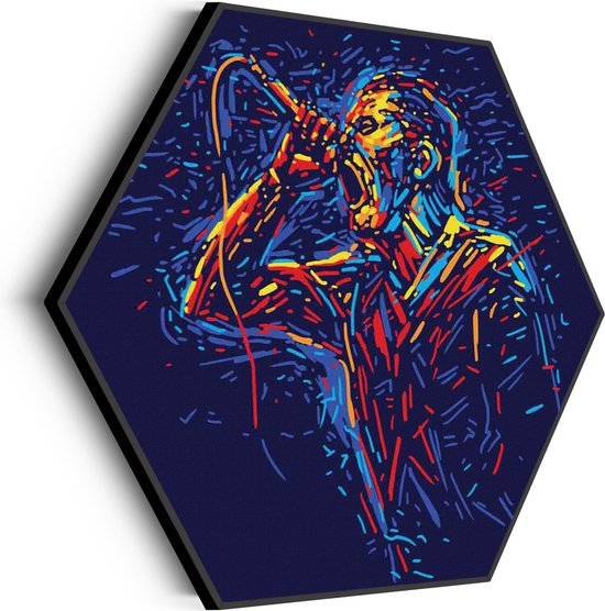 Akoestisch Schilderij Kleurrijke Zanger 01 Hexagon Basic XL (140 X 121 CM) - Akoestisch paneel - Akoestische Panelen - Akoestische wanddecoratie - Akoestisch wandpaneel