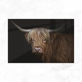 De Muurdecoratie - Schotse Hooglander Koe - Plexiglas Schilderij - Dieren - Wanddecoratie Woonkamer - 150x100 cm - Woonaccessoires
