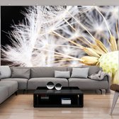 Fotobehangkoning - Behang - Vliesbehang - Fotobehang Paardenbloem - Fluffy dandelion - 150 x 105 cm