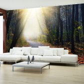 Fotobehangkoning - Behang - Vliesbehang - Fotobehang Weg door het Bos - 150 x 105 cm