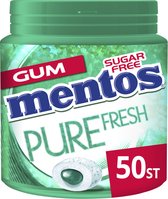 Mentos gum - Wintergreen bottle - 6x