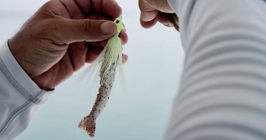 Berkley Gulp Zoutwater Sandworm - Big - 10 Pk - Gssw6-Bij 6 Inch