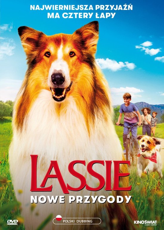 Lassie - Ein neues Abenteuer [DVD]