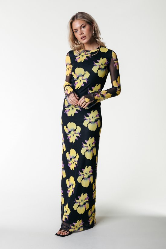 Colourful Rebel Maude Big Flower Mesh Maxi Dress - XL