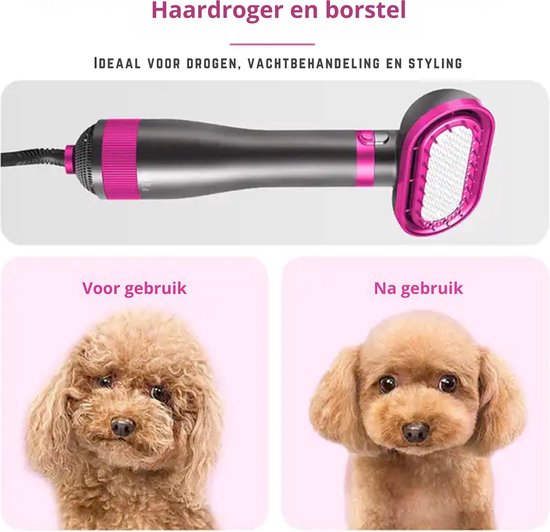 Vind hondenfohn in Honden-accessoires op
