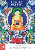 Découverte du bouddhisme 14 - Expériences de pratiques intensives