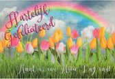 Hartelijk gefeliciteerd! Maak er een mooie dag van! Een fleurige kaart met een regenboog en kleurrijke tulpen in het gras. Een leuke kaart om zo te geven of om bij een cadeau te voegen. Een dubbele wenskaart inclusief envelop en in folie verpakt.