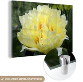 MuchoWow® Glasschilderij 180x120 cm - Schilderij acrylglas - Afbeelding van een gele pioenroos - Foto op glas - Schilderijen