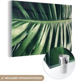 MuchoWow® Glasschilderij 120x80 cm - Schilderij acrylglas - Bladeren - Tropisch - Jungle - Foto op glas - Schilderijen