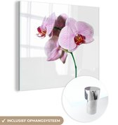 MuchoWow® Glasschilderij 90x90 cm - Schilderij acrylglas - Roze orchideebloem - Foto op glas - Schilderijen