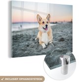 MuchoWow® Glasschilderij 180x120 cm - Schilderij acrylglas - Hond op het strand - Foto op glas - Schilderijen