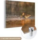 Une barge à queue noire se dresse dans l'eau Plexiglas 60x40 cm - Tirage photo sur Glas (décoration murale en plexiglas)