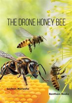 The Drone Honey Bee