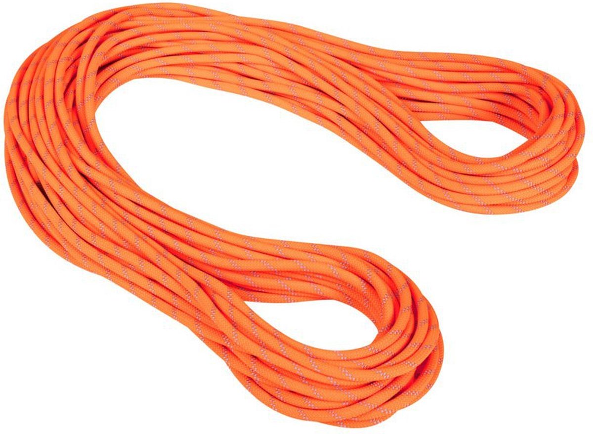 Mammut Alpine Dry 9.5 Mm Touw Oranje 40 m
