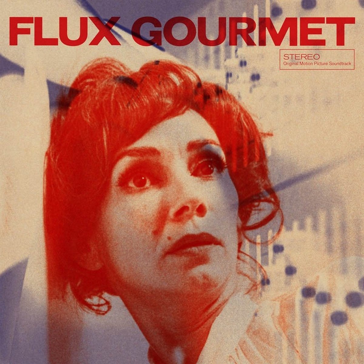 Various Artists - Flux Gourmet (2 LP)