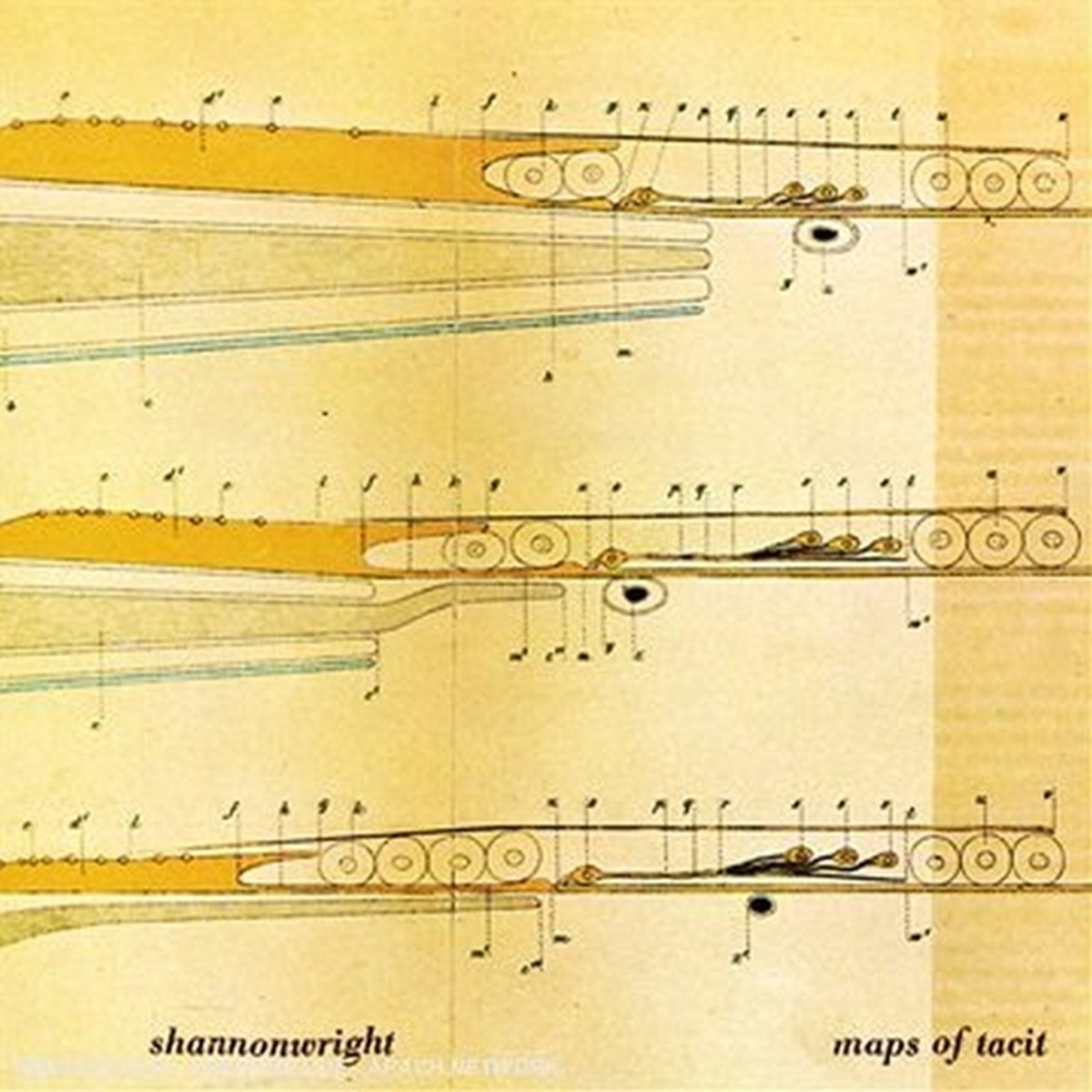 Wright Shannon - Maps Of Tacit