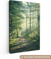 40 cm x 60 cm