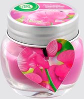 Air Wick mini geurkaars Tropische Bloemen 30 gram - Tropical Flowers - Airwick mini-geurkaars in glazen potje met deksel