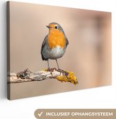 OneMillionCanvasses - Canvas - Schilderij - Roodborstje - Vogel - Takken - Dier - Foto op canvas - Slaapkamer - 150x100 cm - Canvas doek