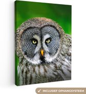 Toile - Peinture - Vogel - Hibou - Animaux - Peintures sur toile - Tableau sur toile - 60x80 cm - Décoration murale - Salon