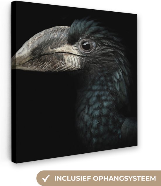 Canvas - Neushoornvogel - Dier - Snavel - Zwart-wit - Natuur - Vogel - Canvas schilderij - 90x90 cm - Canvasdoek - Kamer decoratie