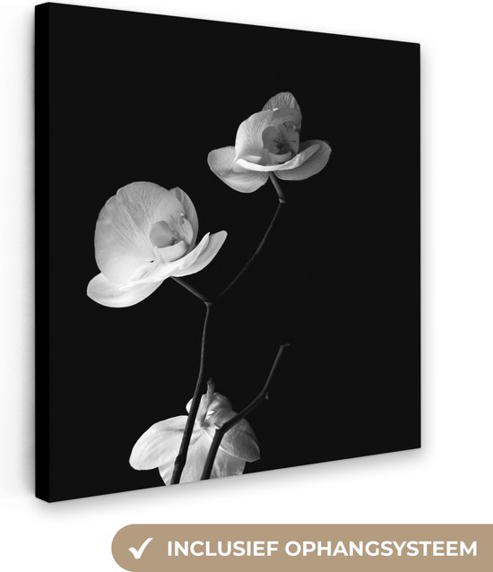 Canvas Schilderij Orchidee - Bloemen - Zwart - Wit - Stilleven - 50x50 cm - Wanddecoratie